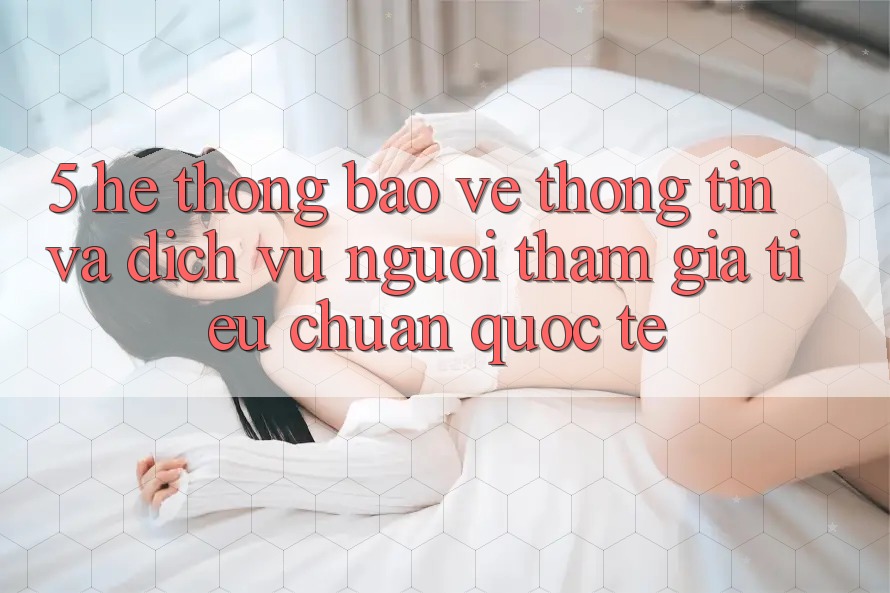 5. Hệ Thống Bảo vệ thông tin Và Dịch Vụ Người tham gia Tiêu Chuẩn Quốc Tế 5. Hệ Thống Bảo vệ thông tin Và Dịch Vụ Người tham gia Tiêu Chuẩn Quốc Tế