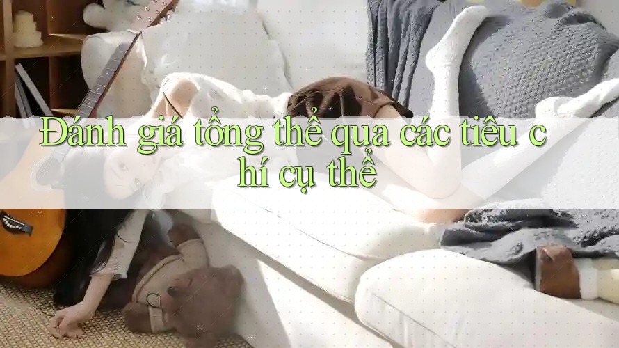 Đánh giá tổng thể qua các tiêu chí cụ thể