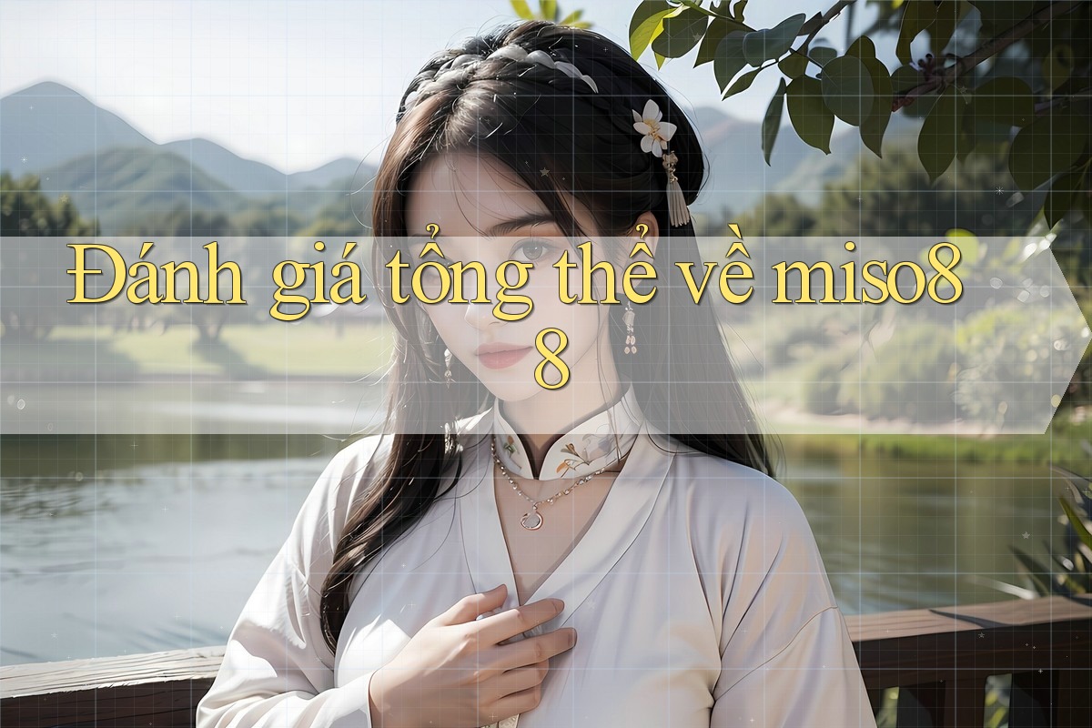 Đánh giá tổng thể về miso88