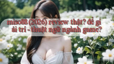 miso88 (2026) review thật để giải trí   thuật ngữ ngành game