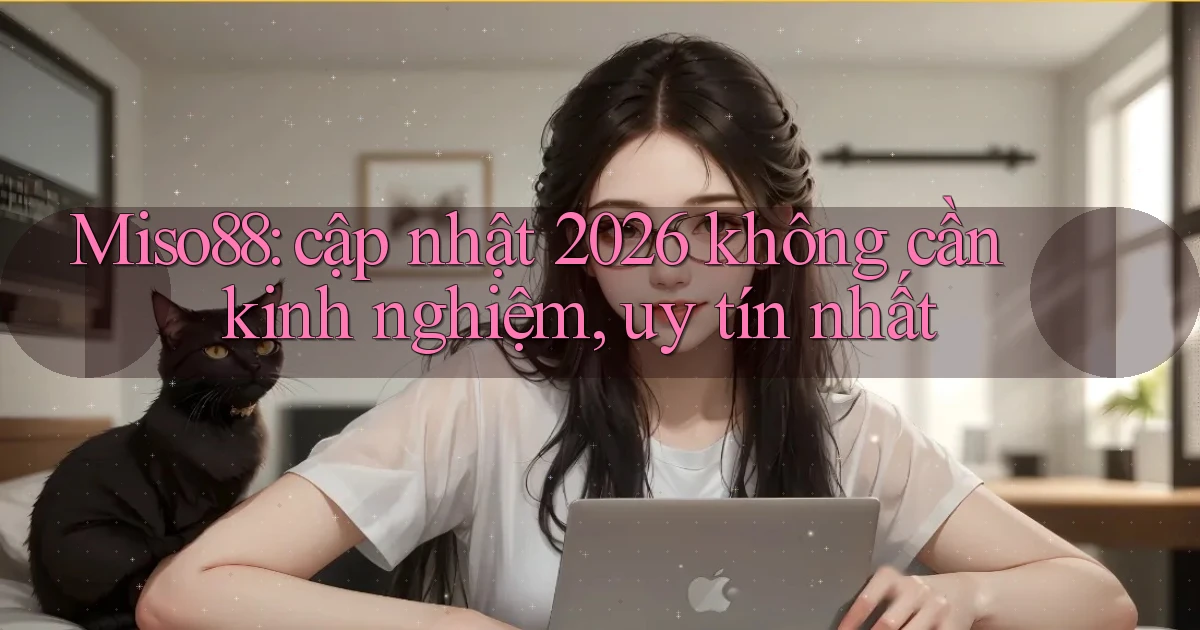 Miso88 cập nhật 2026 không cần kinh nghiệm, uy tín nhất
