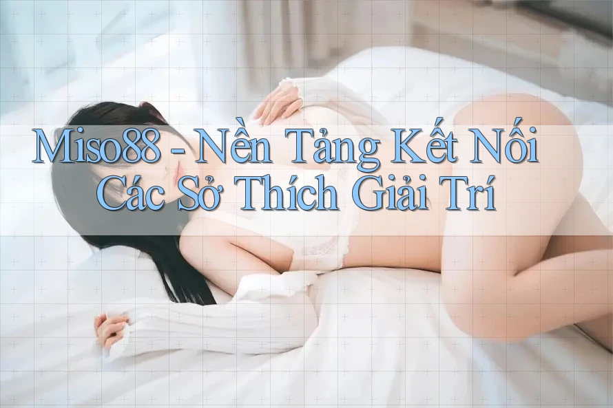 Miso88 - Nền Tảng Kết Nối Các Sở Thích Giải Trí Miso88 - Nền Tảng Kết Nối Các Sở Thích Giải Trí