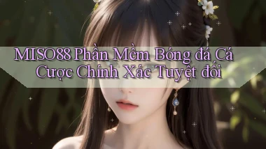 miso88  phần mềm bóng đá cá cược chính xác tuyệt đối