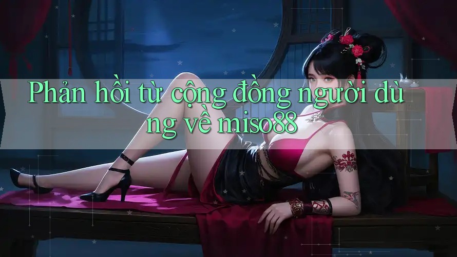 Phản hồi từ cộng đồng người dùng về miso88